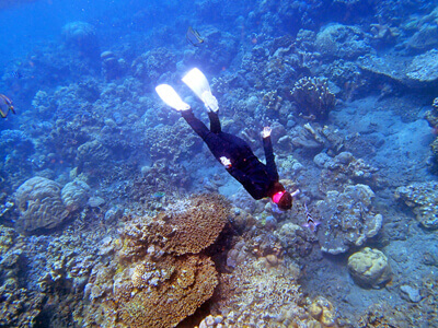 サンゴ礁の近くまで潜るシュノーケラー