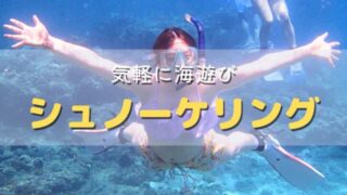 バリ島で初心者向けシュノーケリングを楽しむゲスト
