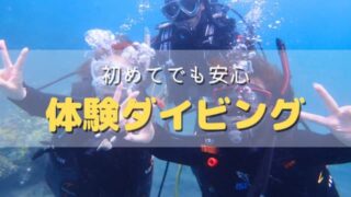 バリ島で初心者向け体験ダイビングを案内するくらげ村