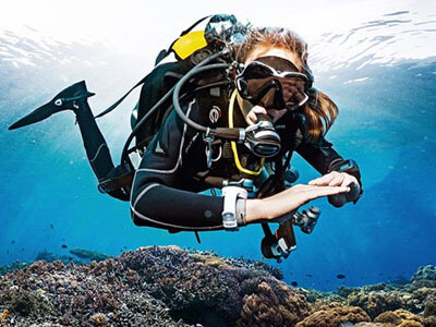サンゴ礁のポイントを潜るダイバー