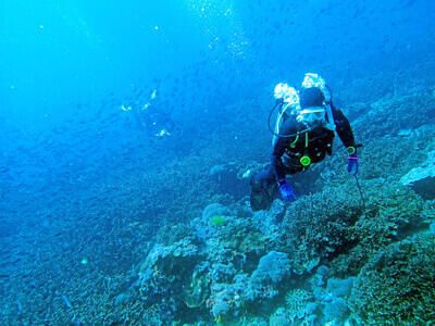 サンゴ礁の上を泳ぐダイバー