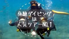 体験ダイビングアイキャッチ