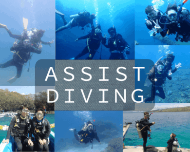 アシストダイビング