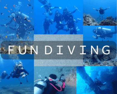 ファンダイビング