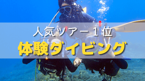 バリ島くらげ村の人気ツアー1位は体験ダイビング