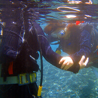 水面で呼吸の練習をしているダイバー