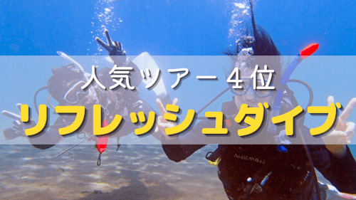 バリ島くらげ村の人気ツアー4位はリフレッシュダイビング