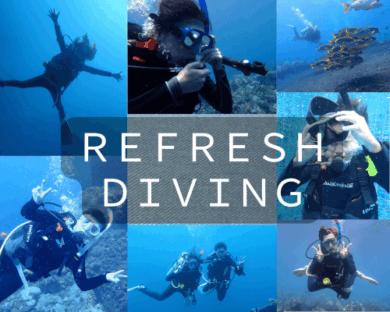 リフレッシュダイビング