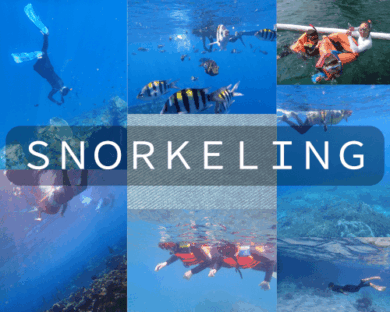 シュノーケリング