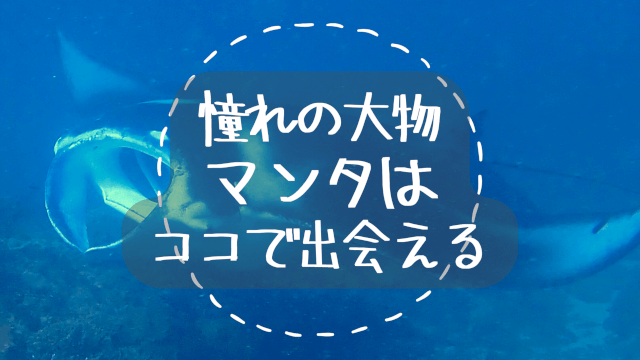 マンタはココで出逢えるアイキャッチ