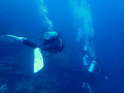 OWコース海洋実習で泳ぐ練習中のダイバーたちバックショット