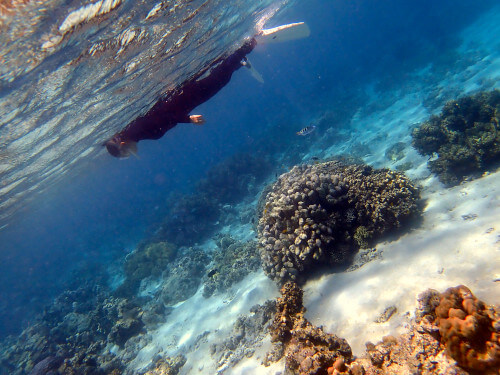 サンゴ礁とホワイトサンドと水面に浮かぶシュノーケラー斜めショット