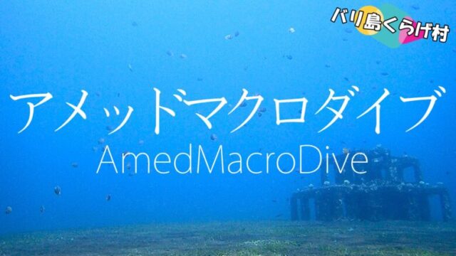 アメッドマクロダイビングのアイキャッチ