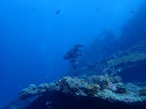 バリ島トランベンの沈船の海景１
