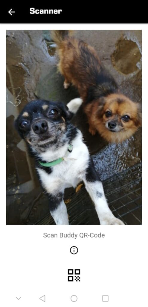 ダイビングデジタルログの使い方3犬の画像付き