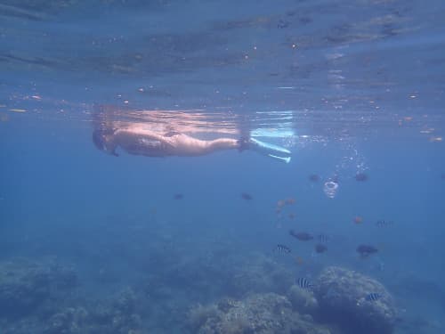 バリ島アメッドで水面に浮かんでシュノーケリングするゲスト