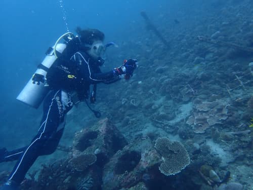 バリ島パダンバイで水中撮影するダイバー