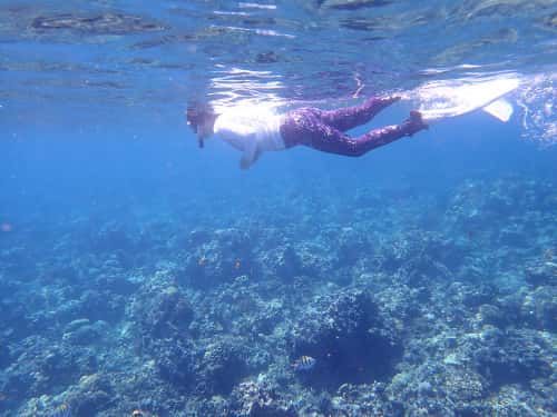 バリ島パダンバイシュノーケリングで悠々と泳がれるゲスト