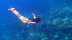 バリ島シュノーケリングで海の中の天使過ぎるシュノーケラー女子