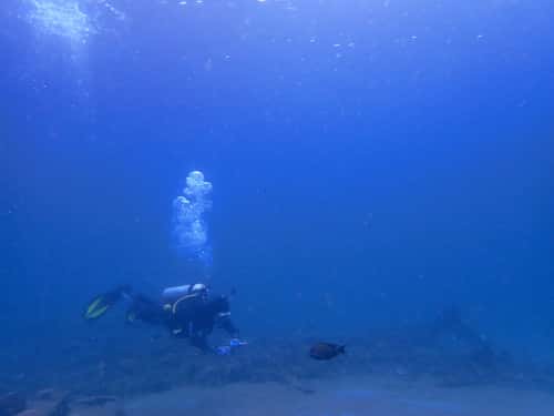 青い海と水底を泳ぐダイバー