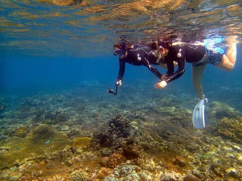 サンゴ礁の上をアクションカメラをもって泳ぐ女性シュノーケラー2名