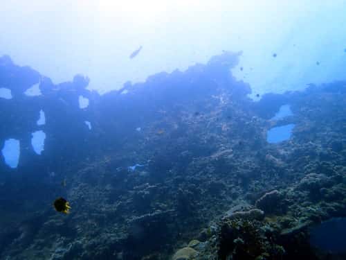 バリ島トランベンの沈船ポイントの海景