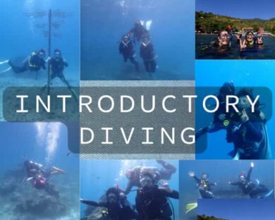 体験ダイビングバナー