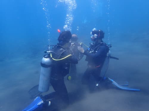 バリ島OWダイバーコース 海洋実習 海中でスキル練習する2名のダイバー