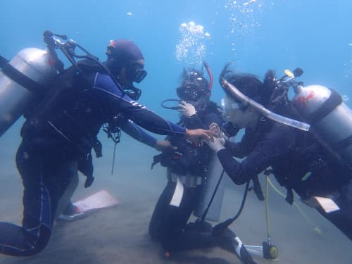 バリ島OWダイバーコース 海洋実習 海中でインストラクターとスキル練習するダイバー達