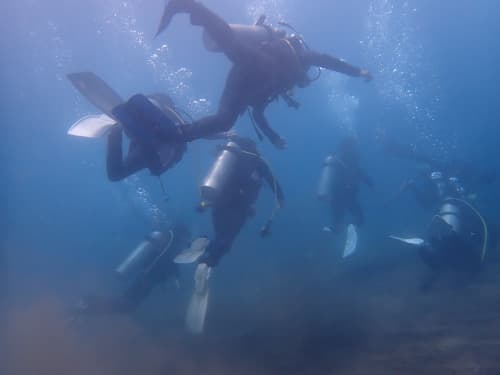 バリ島OWダイバーコース 海洋実習 実際に海の中を泳ぐチェックアウトダイブする受講生ダイバー達