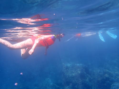 ライフジャケットを着て水面に泳ぎながらサンゴ礁を眺める2人のシュノーケラー