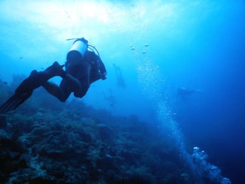 海中のダイバーの後ろ姿