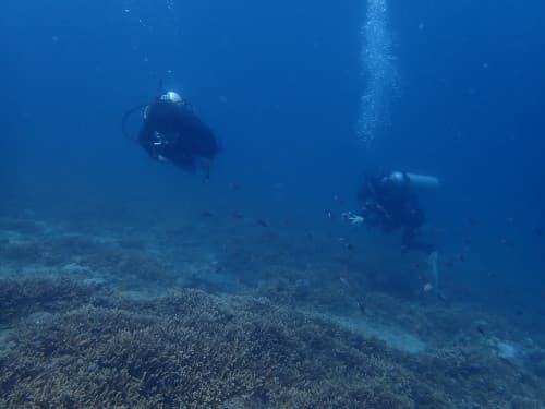 バリ島パダンバイを潜っている2名のダイバー