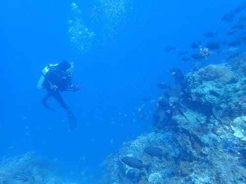 バリ島アメッドのレフトウォールを潜るダイバー
