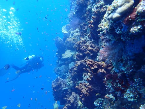 バリ島トランベンの沈船の横を泳ぐダイバー