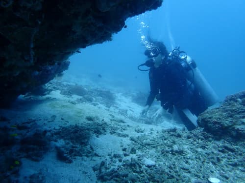 サンゴの根を眺める女性ダイバー