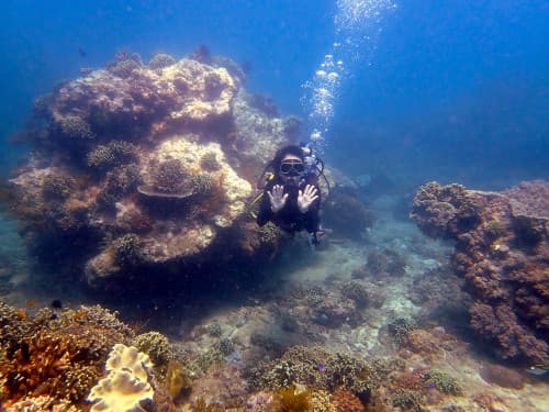 サンゴの根のダイビングポイントで記念撮影する女性ダイバー