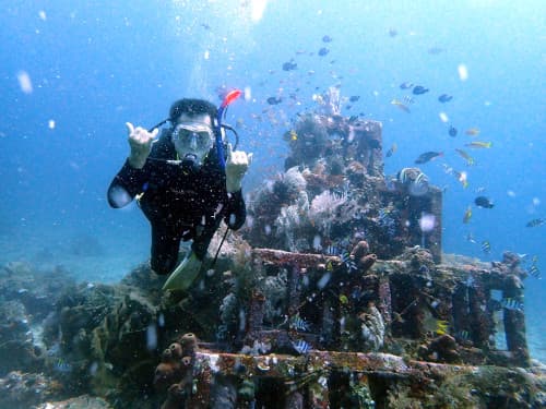 海中に沈められた漁礁に付くサンゴや海藻とたくさんのお魚の横でポーズを取るダイバー