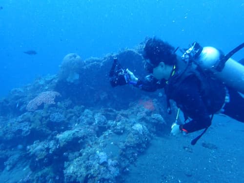 水中撮影をする男性ダイバー