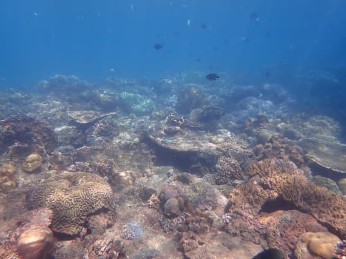 バリ島パダンバイのサンゴ礁の海景