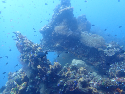 レックダイビングポイントの海景