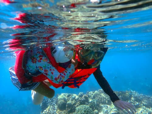 水面から水中の景色を見ている親子シュノーケラー