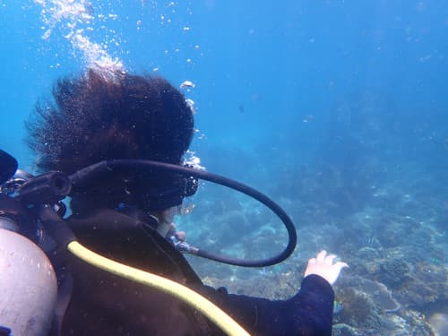 バリ島パダンバイの海景を楽しむ体験ダイバーの後ろ姿