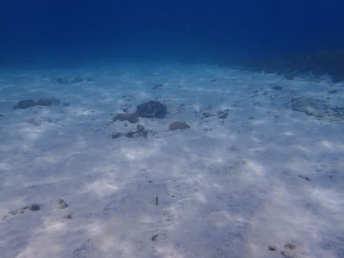 白砂が綺麗なバリ島の海景