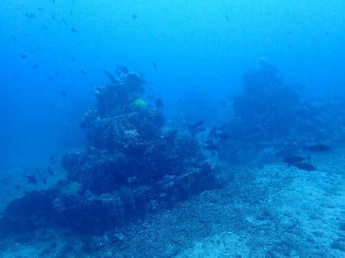 バリ島アメッドの水中に沈められた漁礁の海景