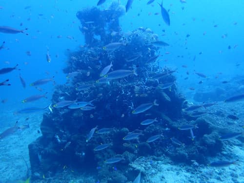 バリ島アメッドの水中ピラミッドの海景