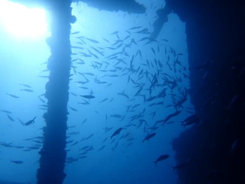 バリ島トランベンの沈船の貨物室から水面を見上げた画像