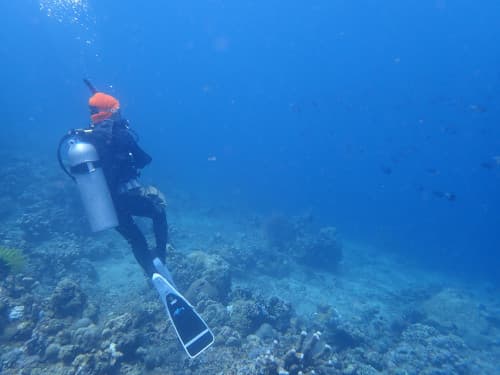 サンゴ礁の上で悠々と浮かんでいるダイバー