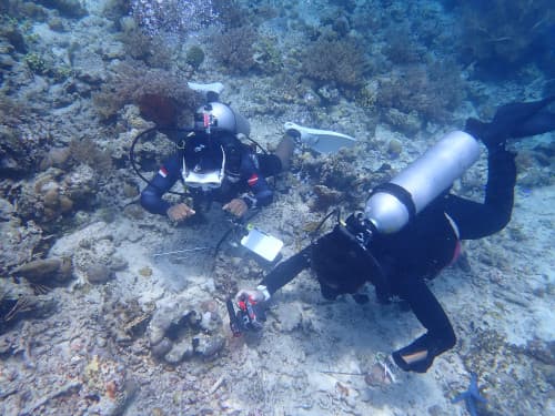 岩礁で水中撮影するダイバーと現地ガイド