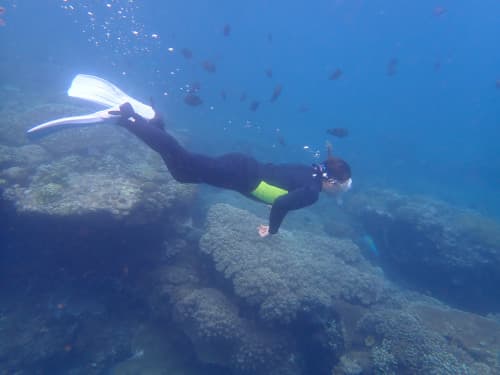 サンゴ礁とお魚がいる海に潜っているウェットスーツを着たシュノーケラー